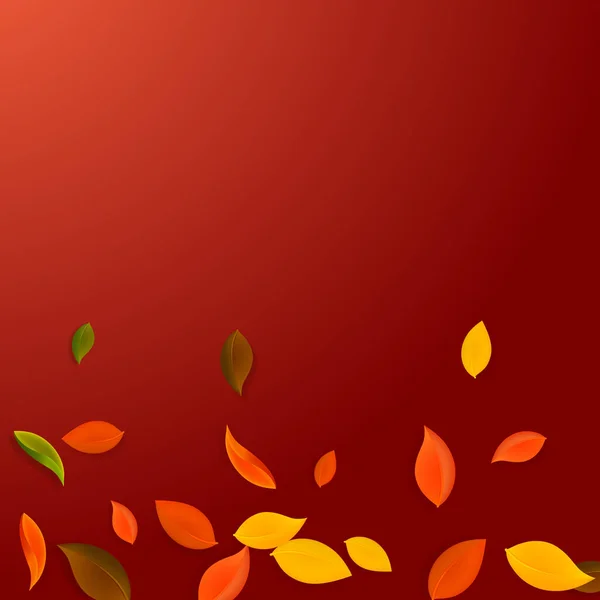 Fallende Herbstblätter Rote Gelbe Grüne Braune Chaotische Blätter Fliegen Gradient — Stockvektor