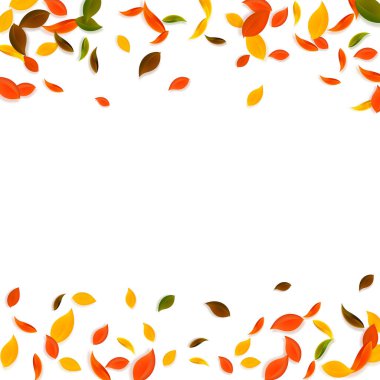 Sonbahar yaprakları dökülüyor. Kırmızı, sarı, yeşil, kaotik yapraklar uçuşuyor. Popüler beyaz arka planda yağan renkli yapraklar. Otantik okul satışına dönüş.