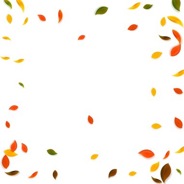 Sonbahar yaprakları dökülüyor. Kırmızı, sarı, yeşil, kahverengi c