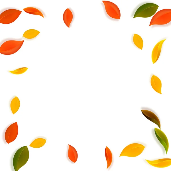 Falling Autumn Leaves Red Yellow Green Brown Neat Leaves Flying — Stock Vector