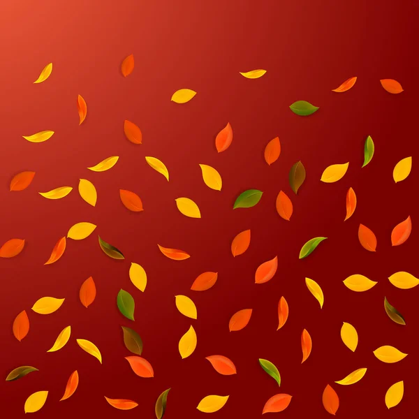 Падающие Осенние Листья Красные Желтые Зеленые Коричневые Случайные Листья Серая — стоковый вектор
