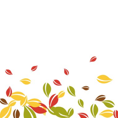 Sonbahar yaprakları dökülüyor. Kırmızı, sarı, yeşil, kaotik yapraklar uçuşuyor. Nadir bulunan beyaz arka planda rengarenk yapraklar. Harika, okul satışına geri döndük..