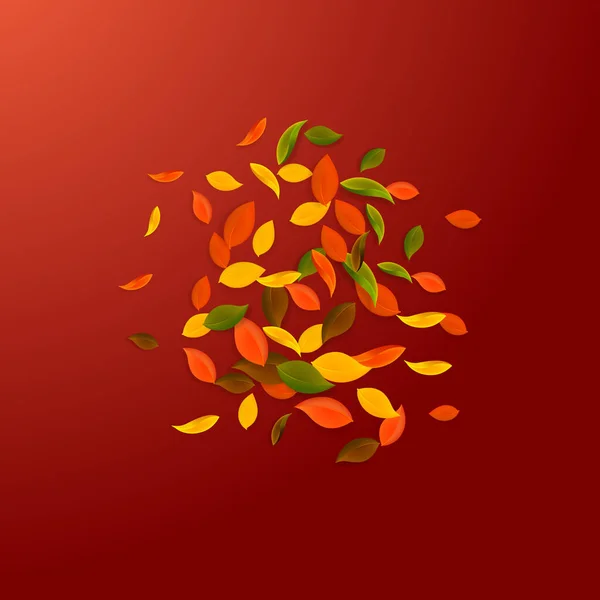 秋の紅葉 茶色の混沌とした葉が飛んでいます 人気の赤い背景に爆発カラフルな葉 学校販売に戻る太字 — ストックベクタ