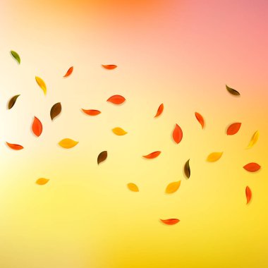 Sonbahar yaprakları dökülüyor. Kırmızı, sarı, yeşil, kahverengi yapraklar uçuşuyor. Kendinden geçmiş günbatımı arka planında yağan renkli yapraklar. Okul satışına geri dönmek nefes kesici..