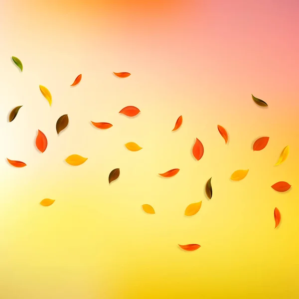 Падающие Осенние Листья Красные Желтые Зеленые Коричневые Случайные Листья Падающая — стоковый вектор