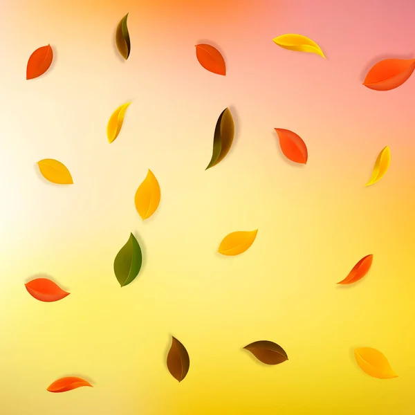 秋天落叶 褐色整齐的叶子在飘扬 落雨的多彩的树叶落在美丽的日落背景上 回到学校销售时的呼吸 — 图库矢量图片