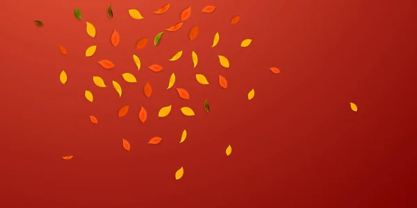 Feuilles Automne Tombantes Feuilles Aléatoires Rouges Jaunes Vertes Brunes Volant — Image vectorielle