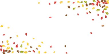 Sonbahar yaprakları dökülüyor. Kırmızı, sarı, yeşil, kaotik yapraklar uçuşuyor. Kalın beyaz arka planda renkli yapraklar. Okul satışına geri dönmek büyüleyici..