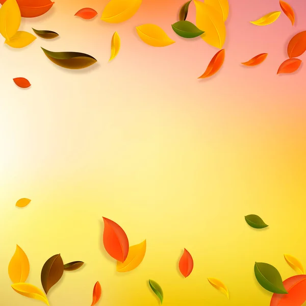 秋天落叶 褐色的乱叶飘扬 落叶多彩的落叶在最佳落日背景 真正回到学校销售 — 图库矢量图片