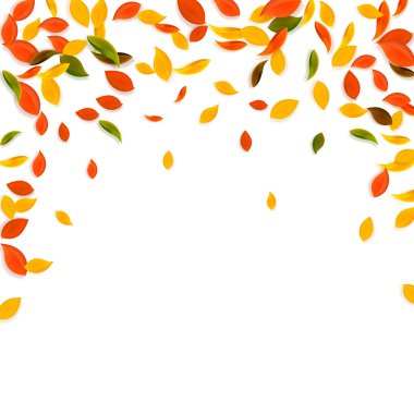 Sonbahar yaprakları dökülüyor. Kırmızı, sarı, yeşil, kaotik yapraklar uçuşuyor. Hayal gücü yüksek beyaz arka planda yağan renkli yapraklar. Otantik okul satışına dönüş.