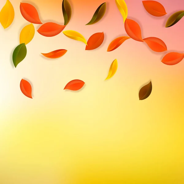 Falling Autumn Leaves Red Yellow Green Brown Neat Leaves Flying — Stock Vector