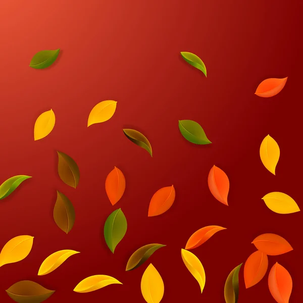 Dedaunan Musim Gugur Yang Berjatuhan Merah Kuning Hijau Coklat Daun - Stok Vektor