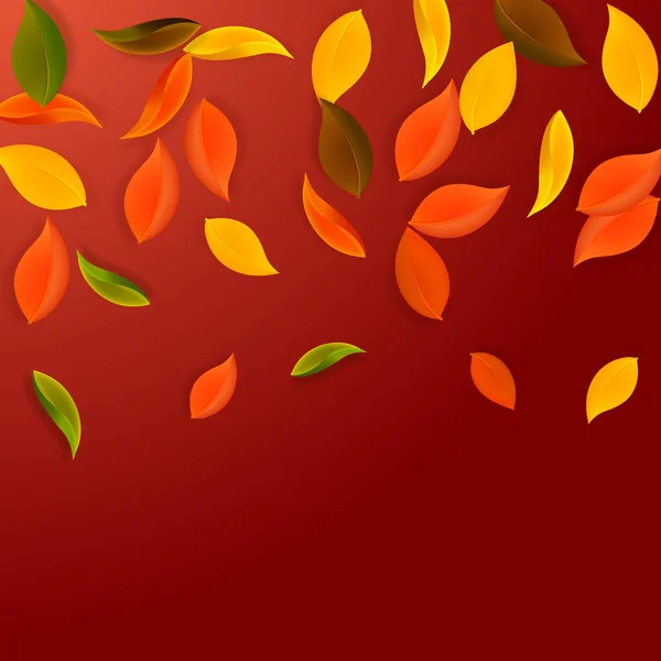 Fallende Herbstblätter Rote Gelbe Grüne Braune Saubere Blätter Fliegen Fallender — Stockvektor