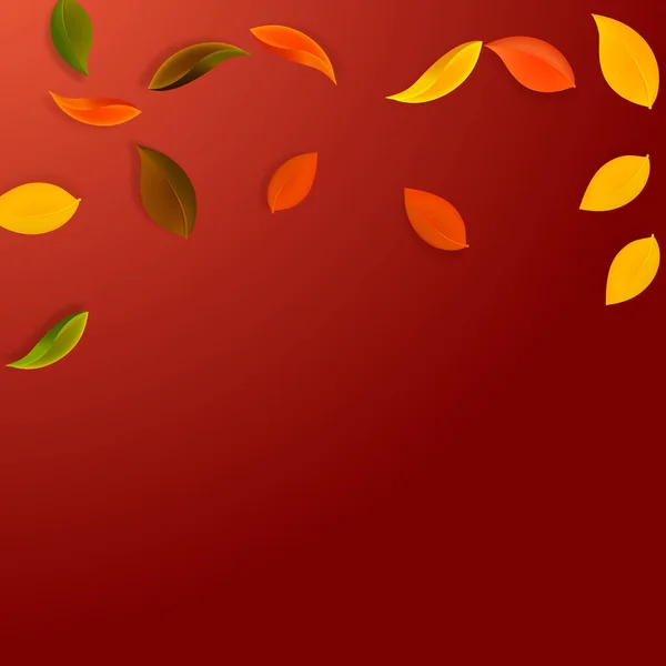 秋の紅葉 茶色のきれいな葉が飛んでいます 赤い背景をフェッチする上で 雨のカラフルな紅葉 学校の販売に息を吹き返す — ストックベクタ