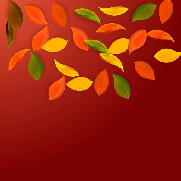 Fallende Herbstblätter Rote Gelbe Grüne Braune Saubere Blätter Fliegen Halbkreis — Stockvektor