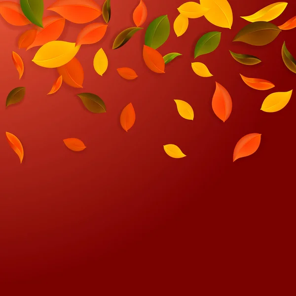 Sonbahar Yaprakları Dökülüyor Kırmızı Sarı Yeşil Kaotik Yapraklar Uçuşuyor Seçkin — Stok Vektör
