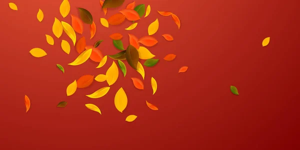 Falling Autumn Leaves Red Yellow Green Brown Chaotic Leaves Flying — стоковый вектор