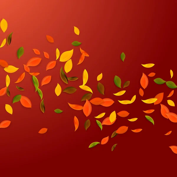 秋の紅葉 茶色の混沌とした葉が飛んでいます 繊細な赤の背景に雨のカラフルな葉 学校の販売に息を吹き返す — ストックベクタ
