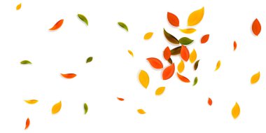 Sonbahar yaprakları dökülüyor. Kırmızı, sarı, yeşil, kaotik yapraklar uçuşuyor. Ekstra günbatımı arka planında patlama renginde yapraklar. Okul satışına geri dönmek büyüleyici..