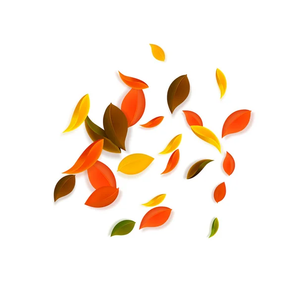 Falling Autumn Leaves Red Yellow Green Brown Chaotic Leaves Flying — Wektor stockowy
