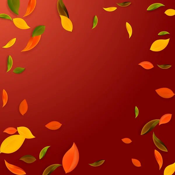 Falling Autumn Leaves Red Yellow Green Brown Chaotic Leaves Flying — 图库矢量图片