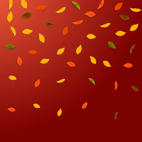 Falling Autumn Leaves Red Yellow Green Brown Random Leaves Flying — стоковый вектор