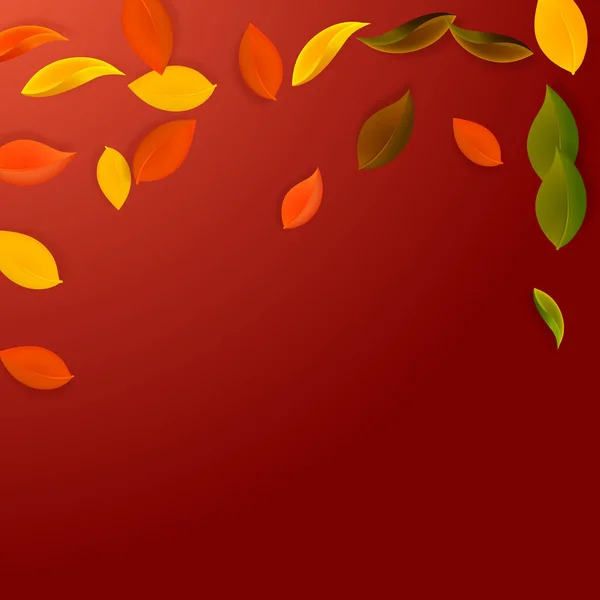 Fallende Herbstblätter Rote Gelbe Grüne Braune Saubere Blätter Fliegen Fallender — Stockvektor