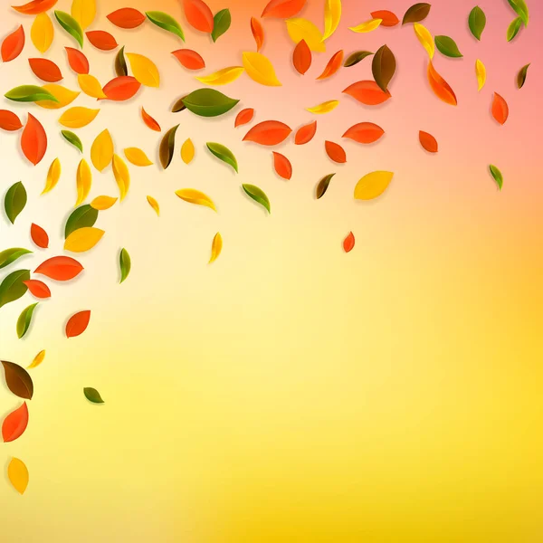 Feuilles d'automne tombantes. Rouge, jaune, vert, brun c — Image vectorielle