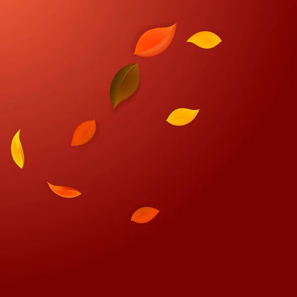 Falling Autumn Leaves Red Yellow Green Brown Neat Leaves Flying — стоковый вектор