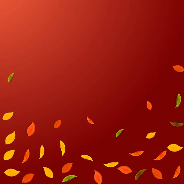 Padající Podzimní Listí Červené Žluté Zelené Hnědé Náhodné Listí Padající — Stockový vektor
