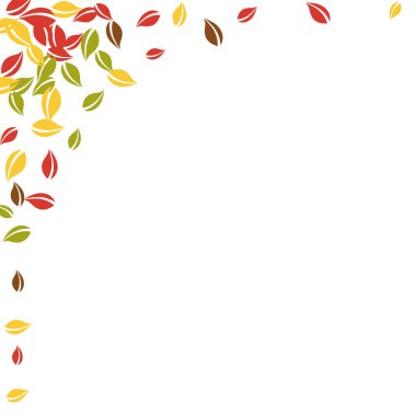 Sonbahar yaprakları dökülüyor. Kırmızı, sarı, yeşil, kaotik yapraklar uçuşuyor. İdeal beyaz arka planda köşeli renkli yeşillik. Okul satışına geri dönmek çekici..