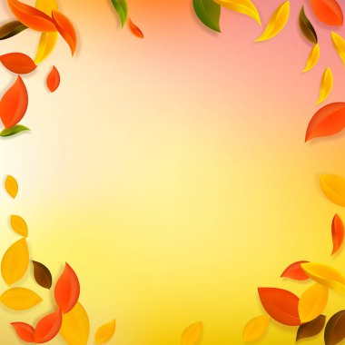 Sonbahar yaprakları dökülüyor. Kırmızı, sarı, yeşil, kaotik yapraklar uçuşuyor. Canlı günbatımı arka planında canlı bir yeşillik. Okul satışına geri dönmek harika..