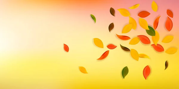 Falling Autumn Leaves Red Yellow Green Brown Neat Leaves Flying — Vetor de Stock
