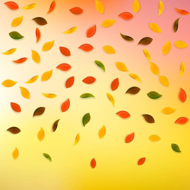 Sonbahar yaprakları dökülüyor. Kırmızı, sarı, yeşil, kahverengi yapraklar uçuşuyor. İlahi günbatımı arka planında rengarenk yapraklar. Harika, okul satışına geri döndük..