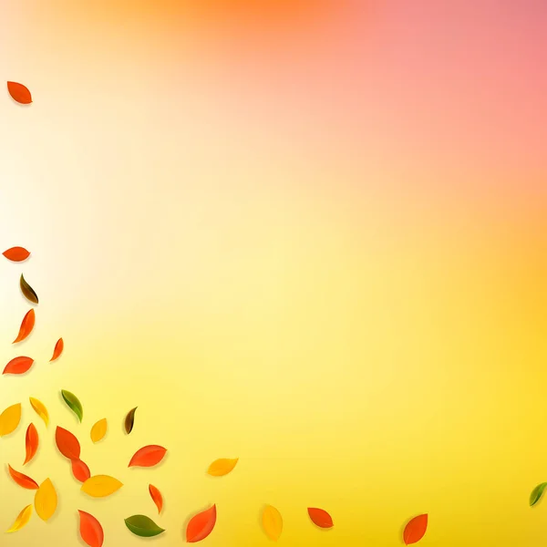 Падающие Осенние Листья Красные Желтые Зеленые Коричневые Хаотические Листья Угловая — стоковый вектор