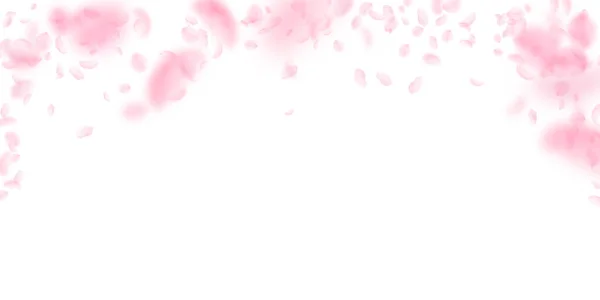 桜の花びらが落ちてきた ロマンチックなピンクの花が降る雨 白地に花弁が飛び交う 恋愛概念 結婚式の招待状 — ストック写真