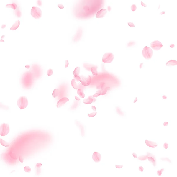 Sakura Petals Falling Romantic Pink Flowers Explosion Flying Petals White — Stock Photo, Image