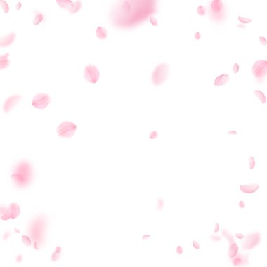 Sakura yaprakları aşağı düşen. Romantik pembe çiçekler skeç. Beyaz kare arka planda uçan yaprakları. Aşk, romantizm kavramı. Uygun düğün davetiyesi.