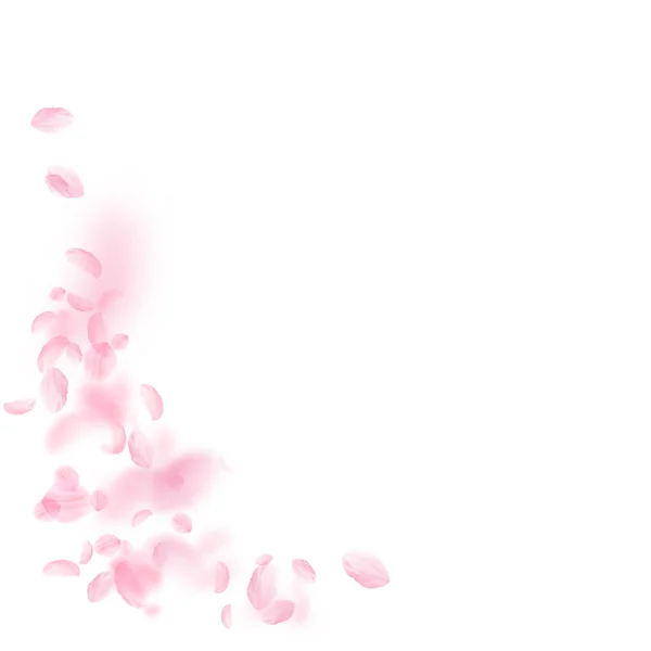 樱花花瓣落下 浪漫的粉红色花角 在白色正方形背景上的飞花瓣 浪漫的概念 趋势婚礼请柬 — 图库照片