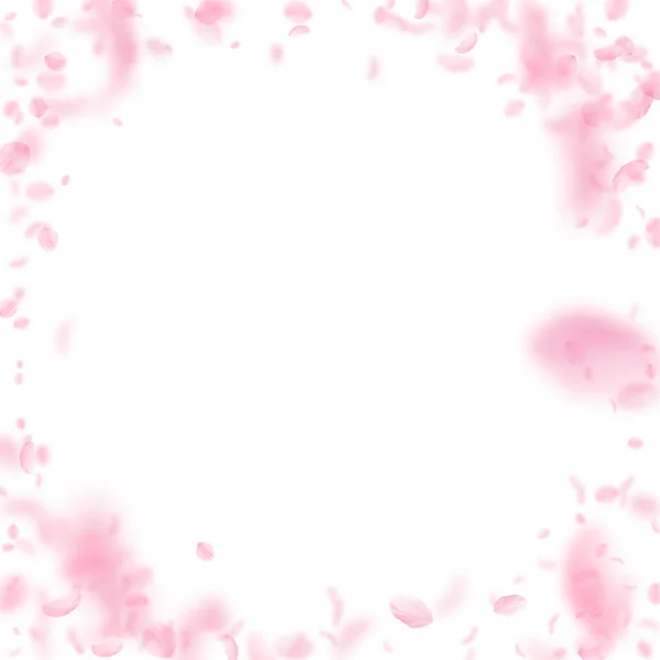 桜の花びらが落ちてきた ロマンチックなピンクの花のヴィネット 白い四角形の背景に空飛ぶ花弁 恋愛概念 結婚式の招待状 — ストック写真