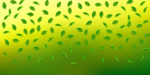 Spadające Zielone Liście Świeża Herbata Przypadkowe Liście Latające Wiosenny Taniec — Zdjęcie stockowe