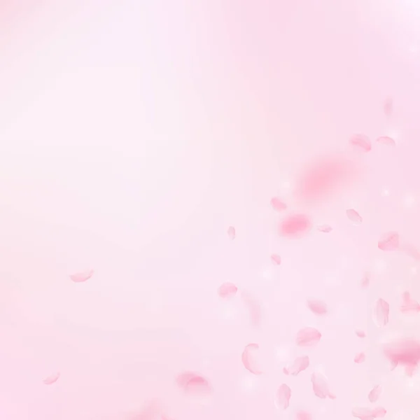 Sakura Bloemblaadjes Vallen Romantische Roze Bloemen Hoek Vliegen Bloemblaadjes Roze — Stockfoto