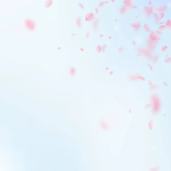 桜の花びらが落ちてきた ロマンチックなピンクの花のコーナー 青い空の広場の背景に花びらを飛んで 恋愛概念 素晴らしい結婚式の招待状 — ストック写真