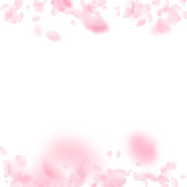 Sakura Bloemblaadjes Vallen Romantische Roze Bloemen Grenzen Vliegende Bloemblaadjes Witte — Stockfoto