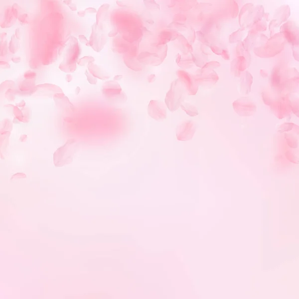 樱花花瓣掉落 浪漫的粉红色花朵落雨 在粉红色的方形背景飞行花瓣 浪漫的概念 理想的婚礼邀请函 — 图库照片
