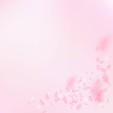 Sakura yaprakları dökülüyor. Romantik pembe çiçek köşesi. Pembe kare arka planda uçan taç yaprakları. Aşk, romantizm kavramı. Değerli düğün davetiyesi.