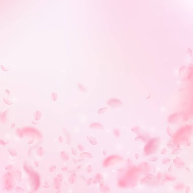 Sakura yaprakları aşağı düşen. Yağmurun romantik pembe çiçekler. Yaprakları pembe kare arka plan üzerinde uçan. Aşk, romantizm kavramı. Manyetik düğün davetiyesi.