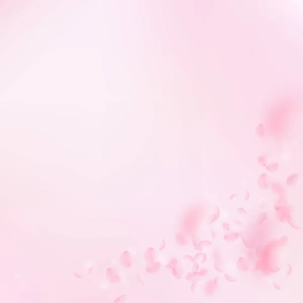 樱花花瓣飘落 浪漫的粉色花朵角落 粉红正方形背景上飘扬的花瓣 浪漫的概念 有价值的结婚邀请函 — 图库照片