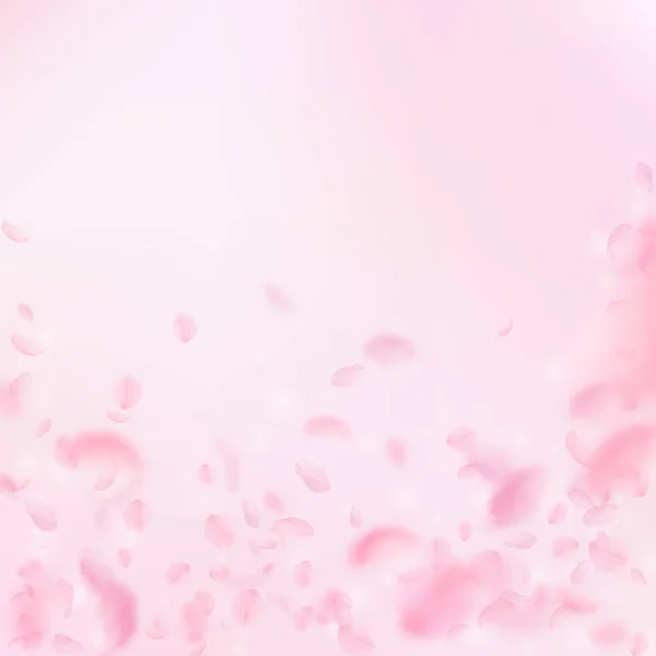 Sakura Petals Falling Romantic Pink Flowers Falling Rain Flying Petals — Stock Photo, Image