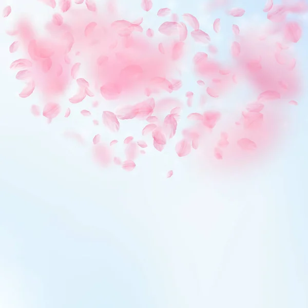 Sakura Lístky Padající Romantické Růžové Květy Půlkruh Létající Lístky Náměstí — Stock fotografie